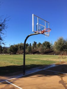 Heavy Duty Gooseneck Basketball Hoop Image